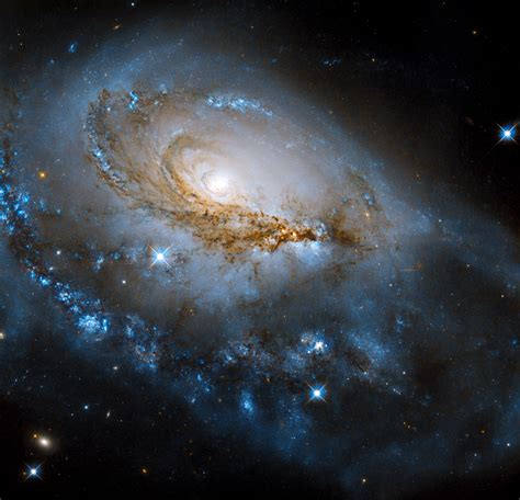 NGC .